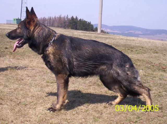 P��prava na v�stavu
