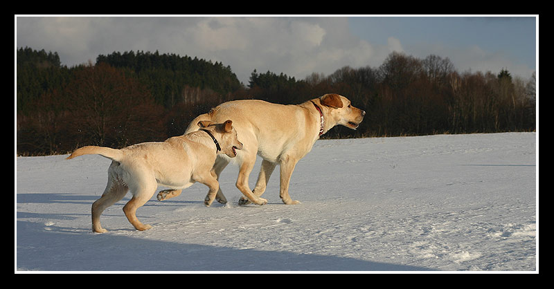 B�ra a Jon�