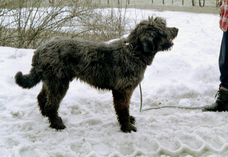 Chlupat� Nikita