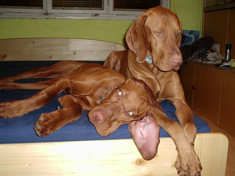 Takhle se u n�s spink� :-)