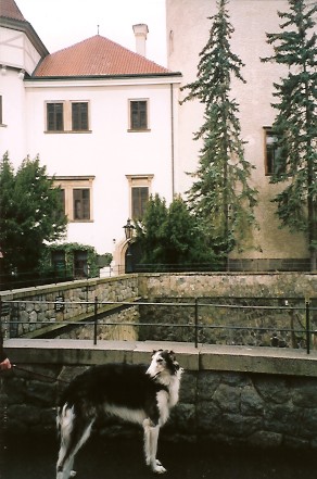 Edie na Konopi�ti