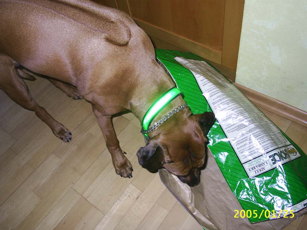... obl�ben� �innost...