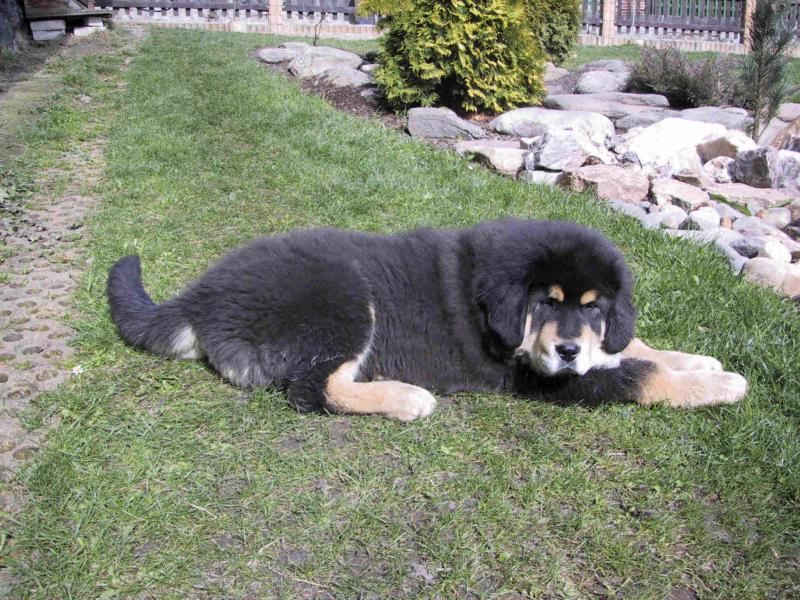 Odpo�inek