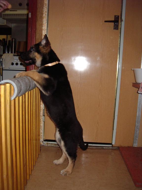 ach,nep�esko��m...