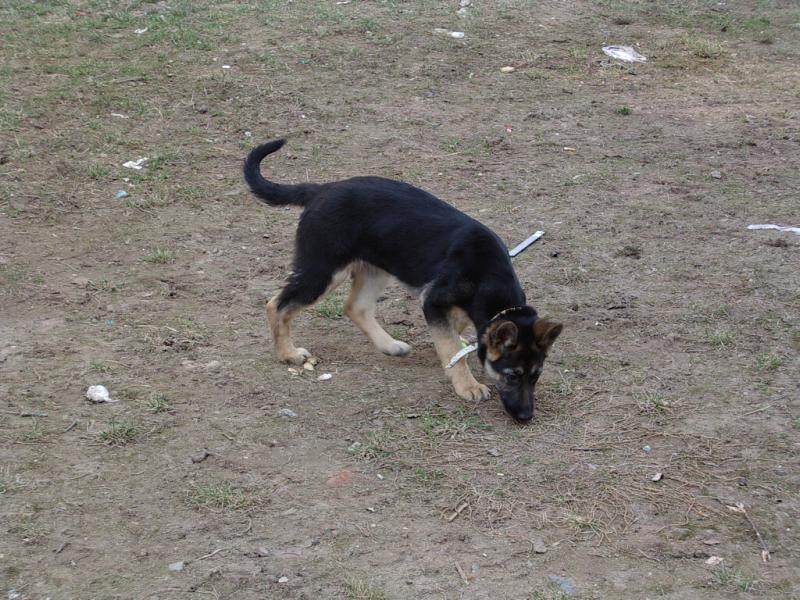 Kam se asi vy�ur�m