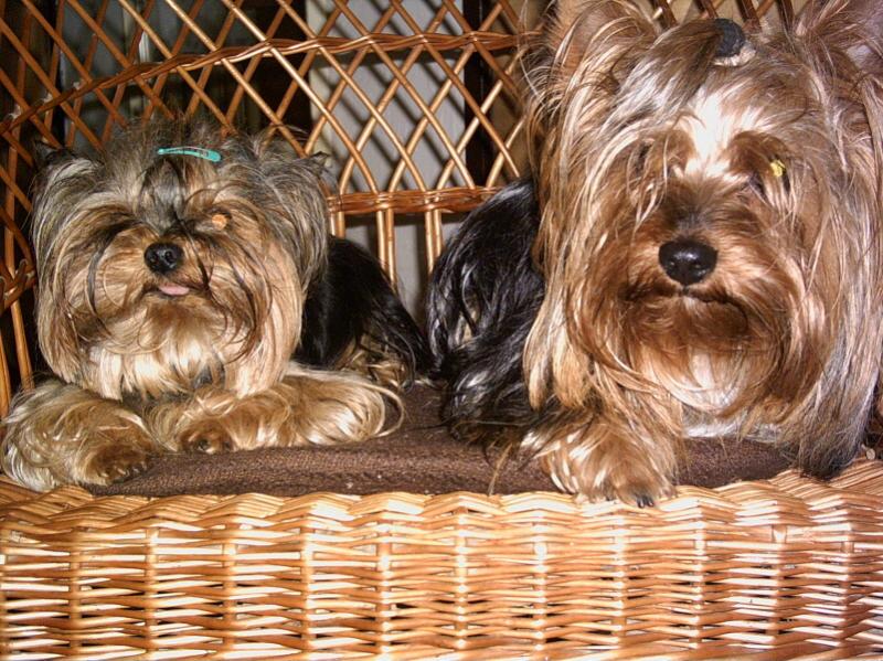 Poledn� siesta ve dvou