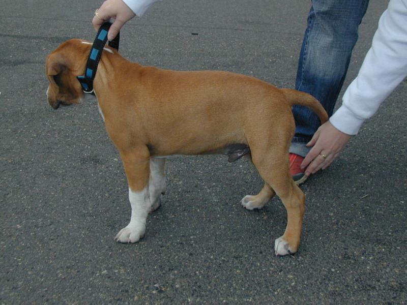 Nechci st�t