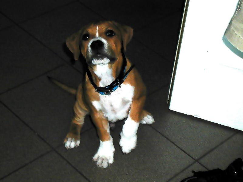 prvn� den me hned nefot?