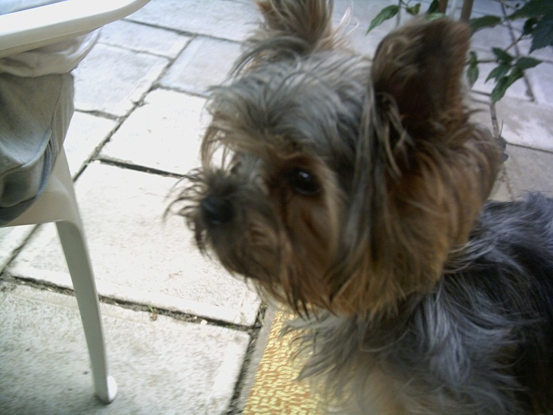 Bar�a