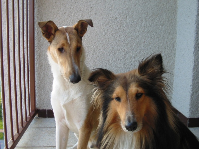 Kuku�