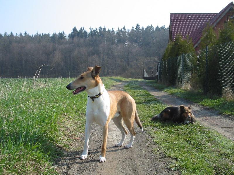 Tak u� mne nefo�!