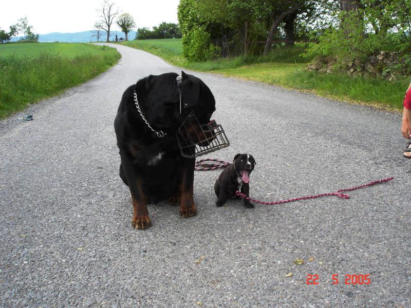 roky a j�