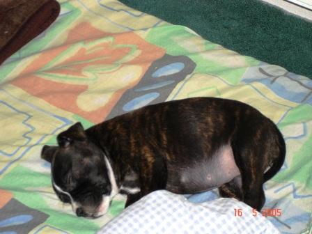 spink�n�