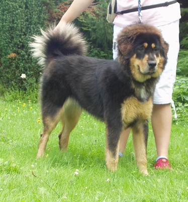 Brooke - 7 a p�l m�s�ce