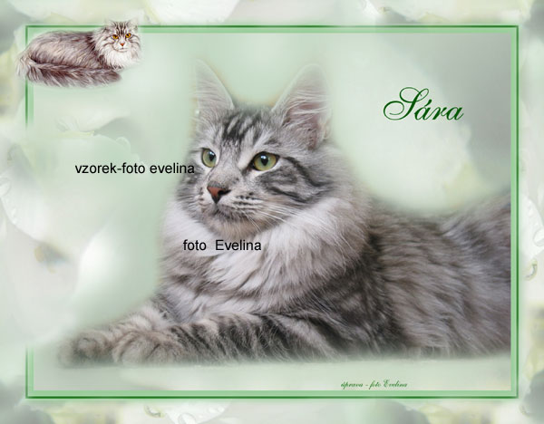 S�rinka