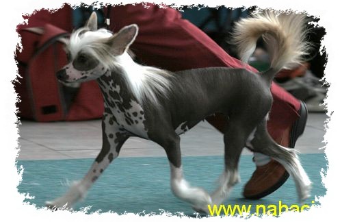 Na v�stav�