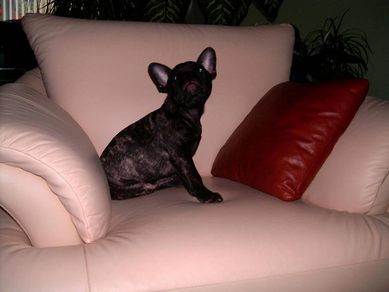 J� se nechci fotit