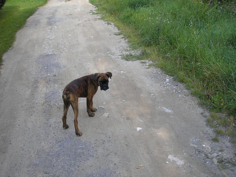 Tak u� poj�