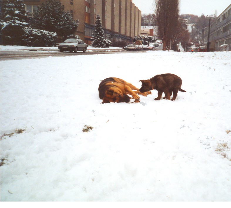 Ahoj teto, co to d�l�? :-))