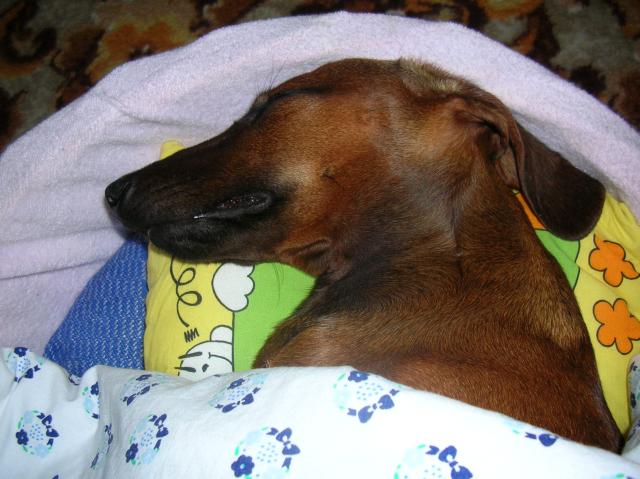 spink�m-neru�it
