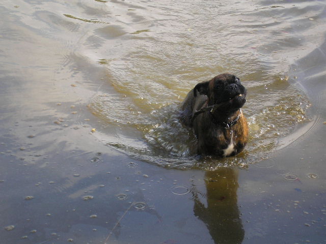 Ve vod�