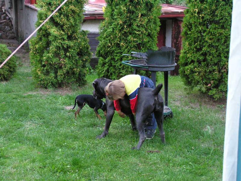 Zase hl�d�m n�jak� d�t�