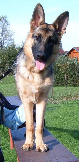Sam�k