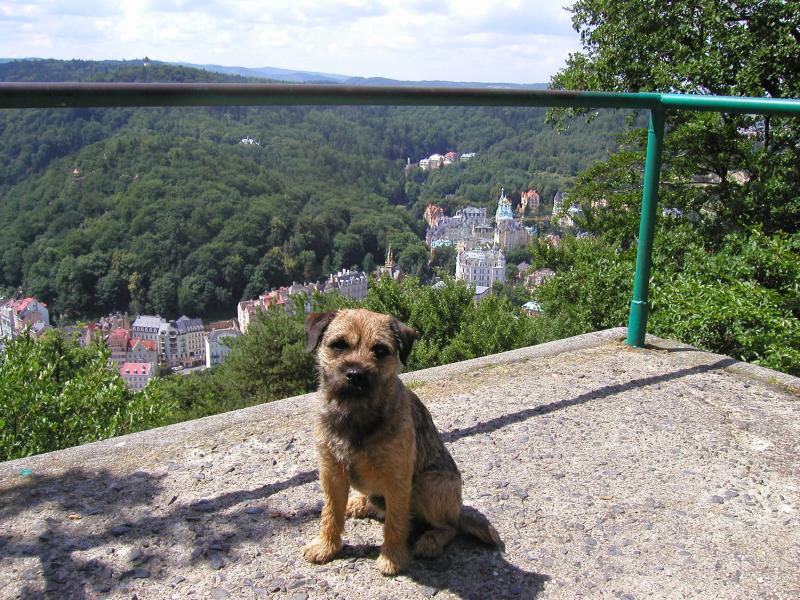 Conti z Paseck� H�jovny