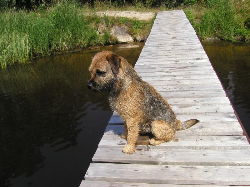 Conti z Paseck� H�jovny