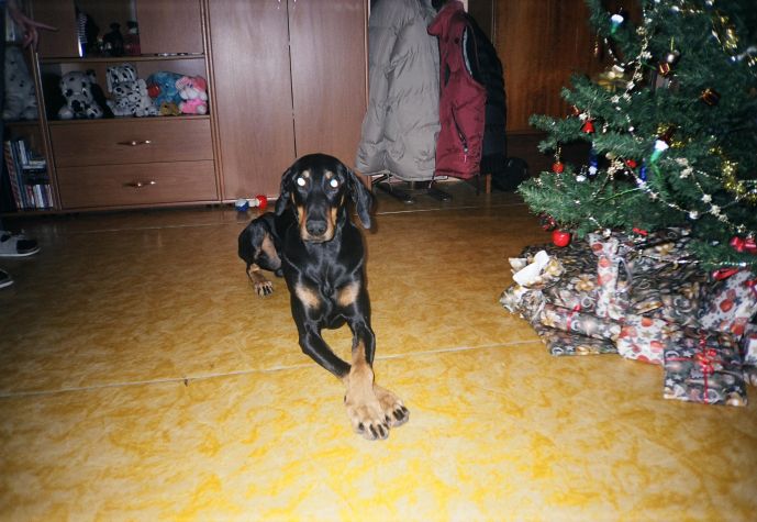 To jsou moje d�rky a nikdo k nim nesm�!!!