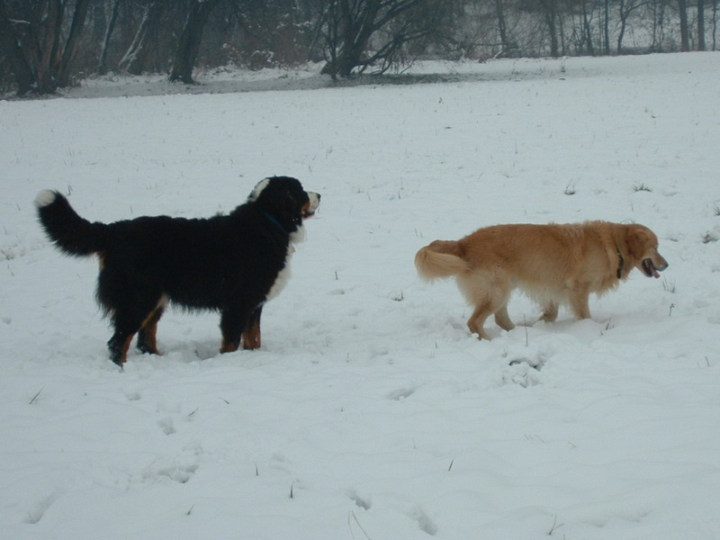 Sam a Peggy na sn�hu