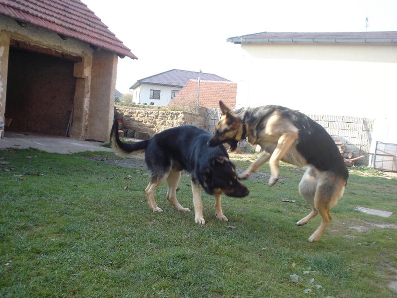 Kousnu t�