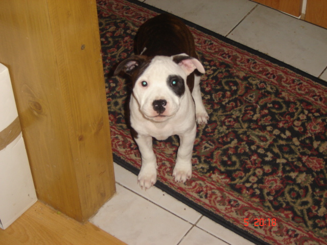 posledn� �t���tko