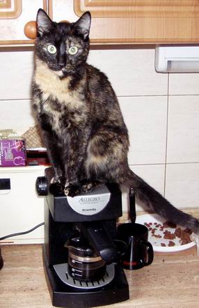 Ba�ka presso