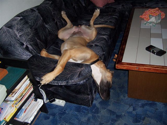 odpo�inek