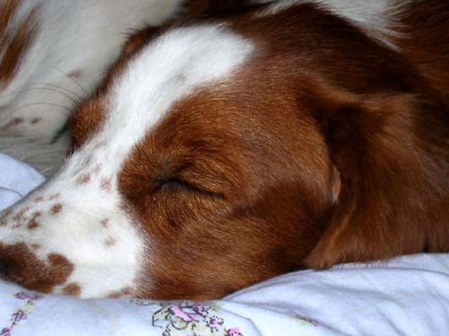 A zase spink�m...
