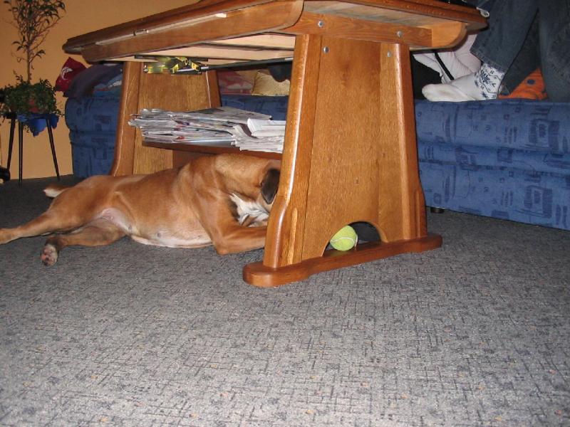 obl�ben� hra s tenis�kem