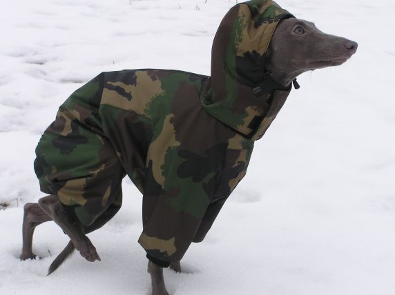 Mr�z n�m nevad�!