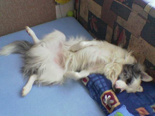 Takhle spink�me