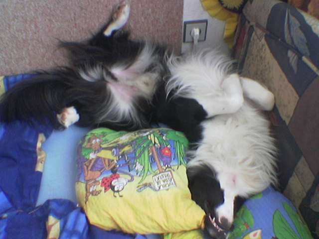 Takhle spink�me