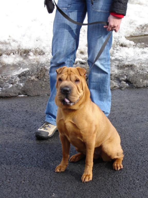 Nelly na proch�zce