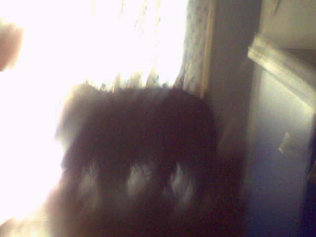 Um�leck� fotka