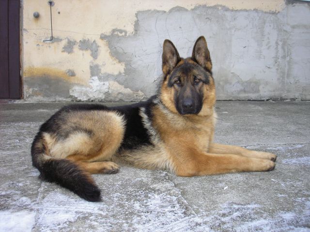 Artu�