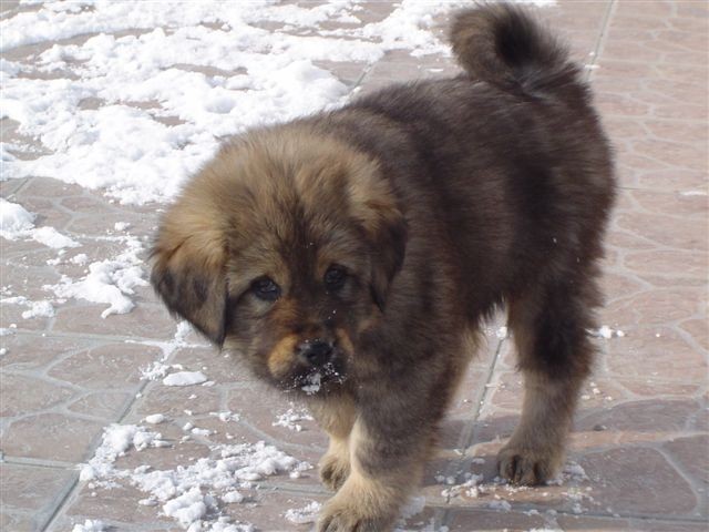 Tady je mi 8 t�dn�