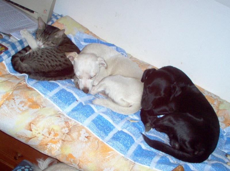 U po��ta�e