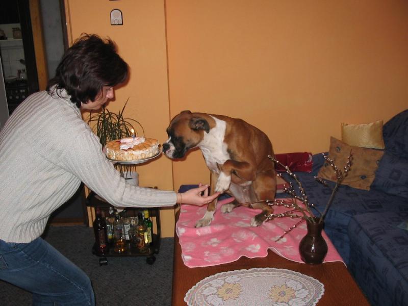 velk� gratulace u� je mi 1rok