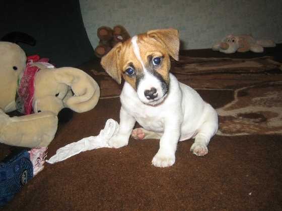 to se teda div�m :-)))