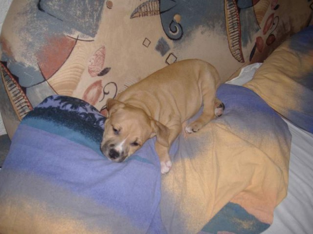 spink�m..neru�it:)