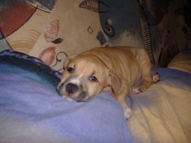 spink�m..neru�it:)2