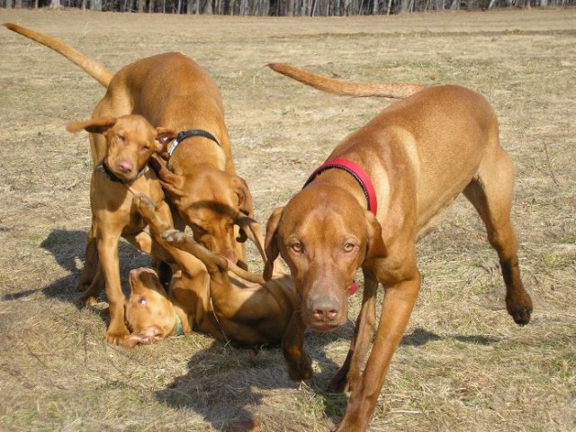 a zase ma��rci...